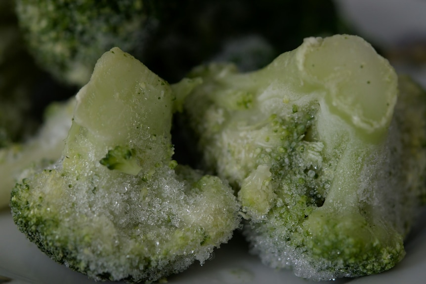 A close up of two florets of frozen broccoli with ice on them.