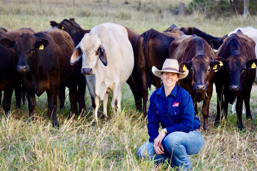 A woman crouches in front of cattle in a grassy paddock.