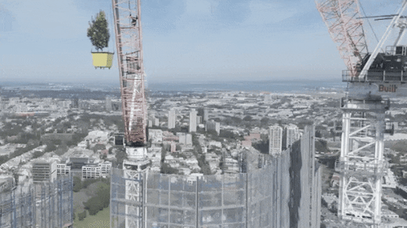 Atlassian Central tower: World’s tallest hybrid timber building reaches its highest point on Sydney skyline