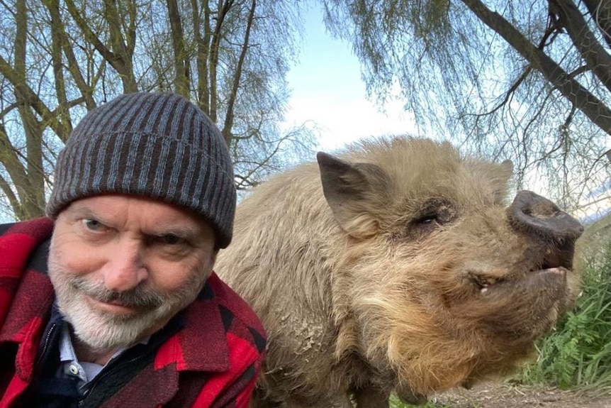 Neill and pig