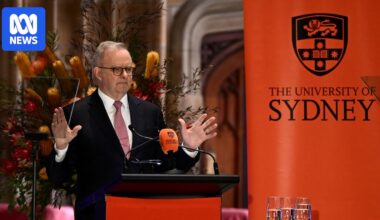 Albanese makes AI plan, Liberals ask base for help in 'political fight'