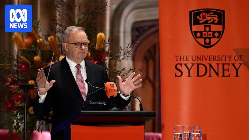 Albanese makes AI plan, Liberals ask base for help in 'political fight'