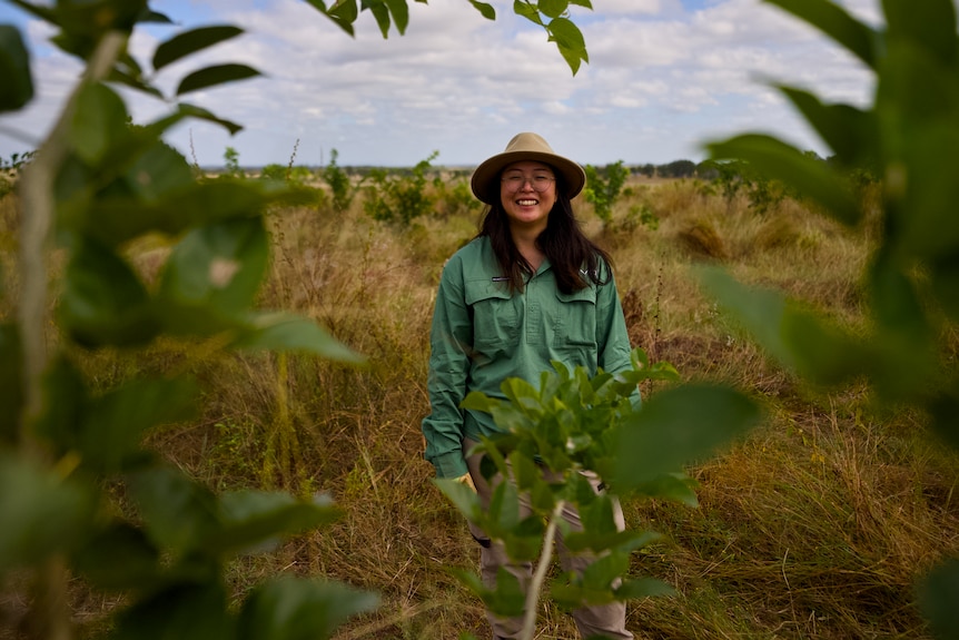 A farming scientist standing in between newly planted pongamia trees.