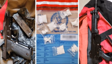 Punchbowl, Sydney: 11 arrested after drugs, guns uncovered in home