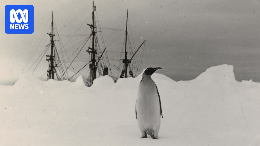 Rare glimpse into Discovery expedition helps scientist better understand the present