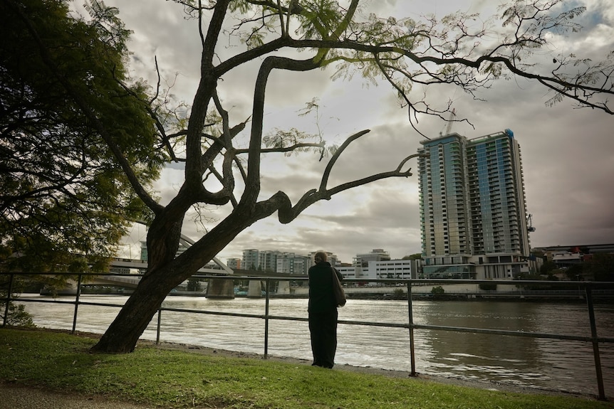 A woman stands on the edge of the Brisbane River looking out beside a large tree.