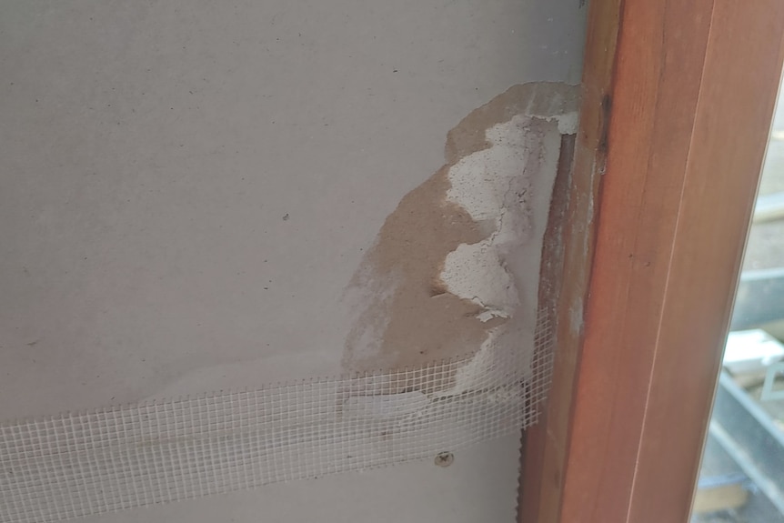 A poorly painted part of the wall in Chris Blewitt's shed.