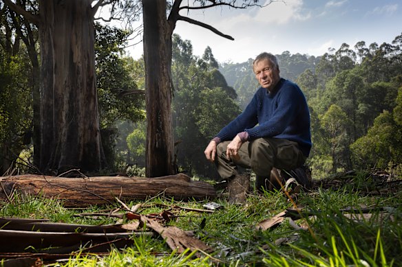 Richard Leppitt on his land in South Gippsland. 