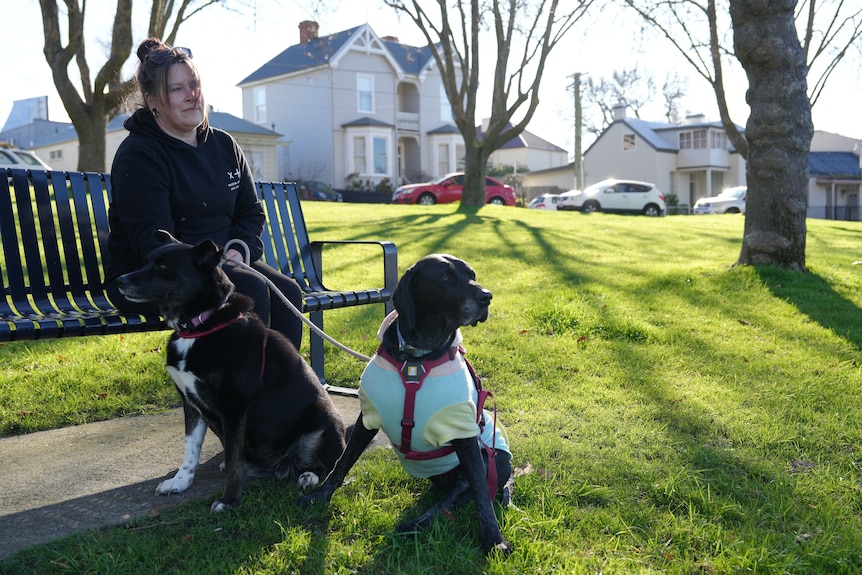 A woman is seated at a park bench with two dogs nearby.