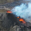 extremophiles