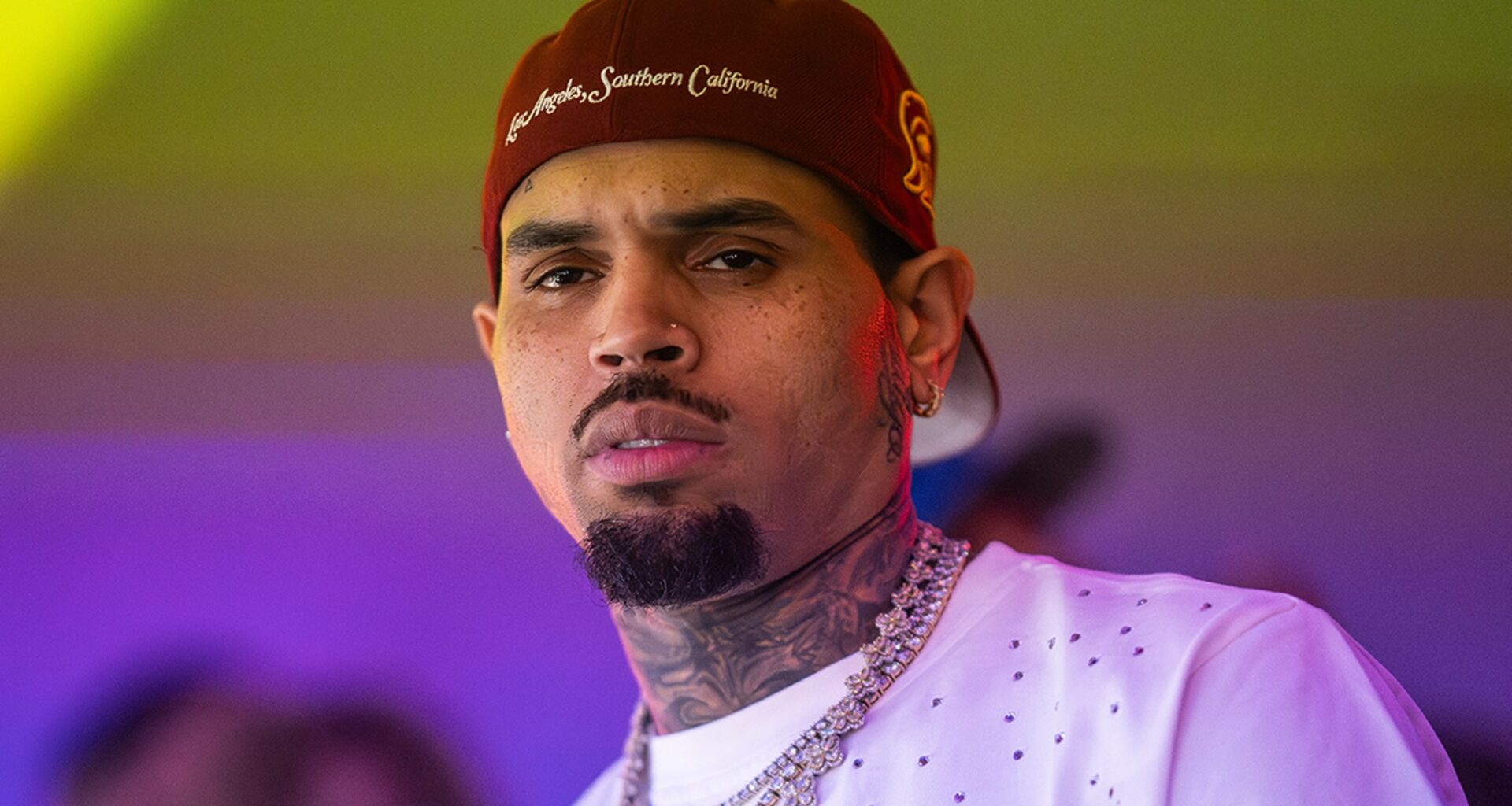 Chris Brown Ordered to Pay $13M Over Dog Attack
