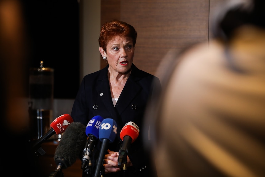 A mid-shot of Pauline Hanson addressing journalists at a press conference
