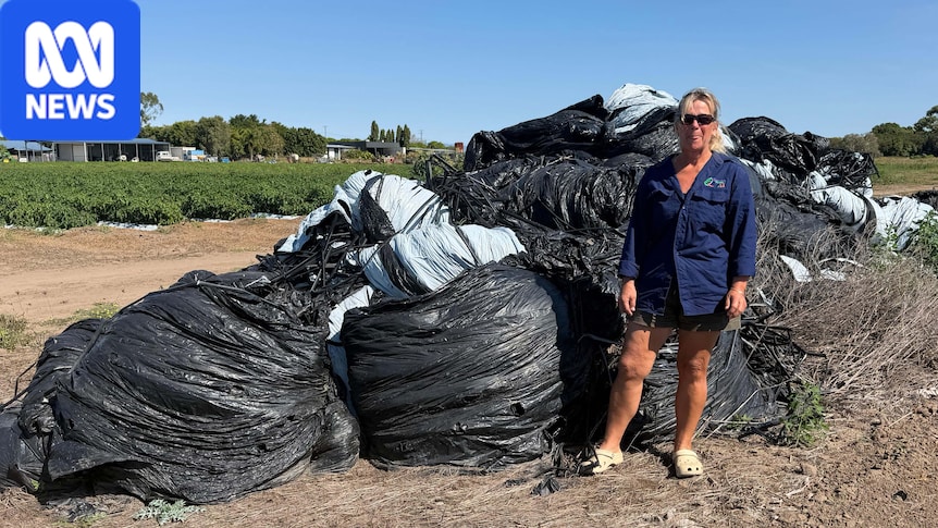 Farmers seek solution to mounting plastic waste problem left out of recycling strategy