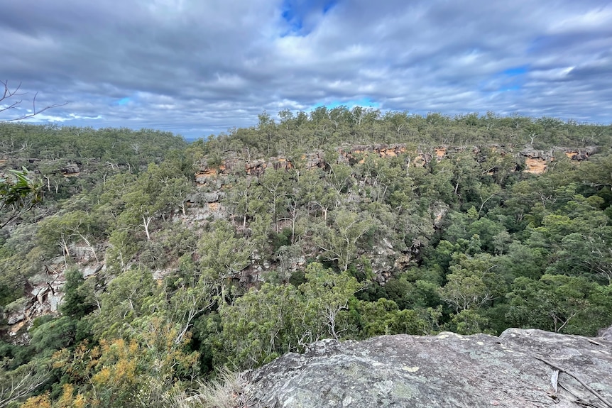 Lower Forest Hill Creek Gulguer National Park