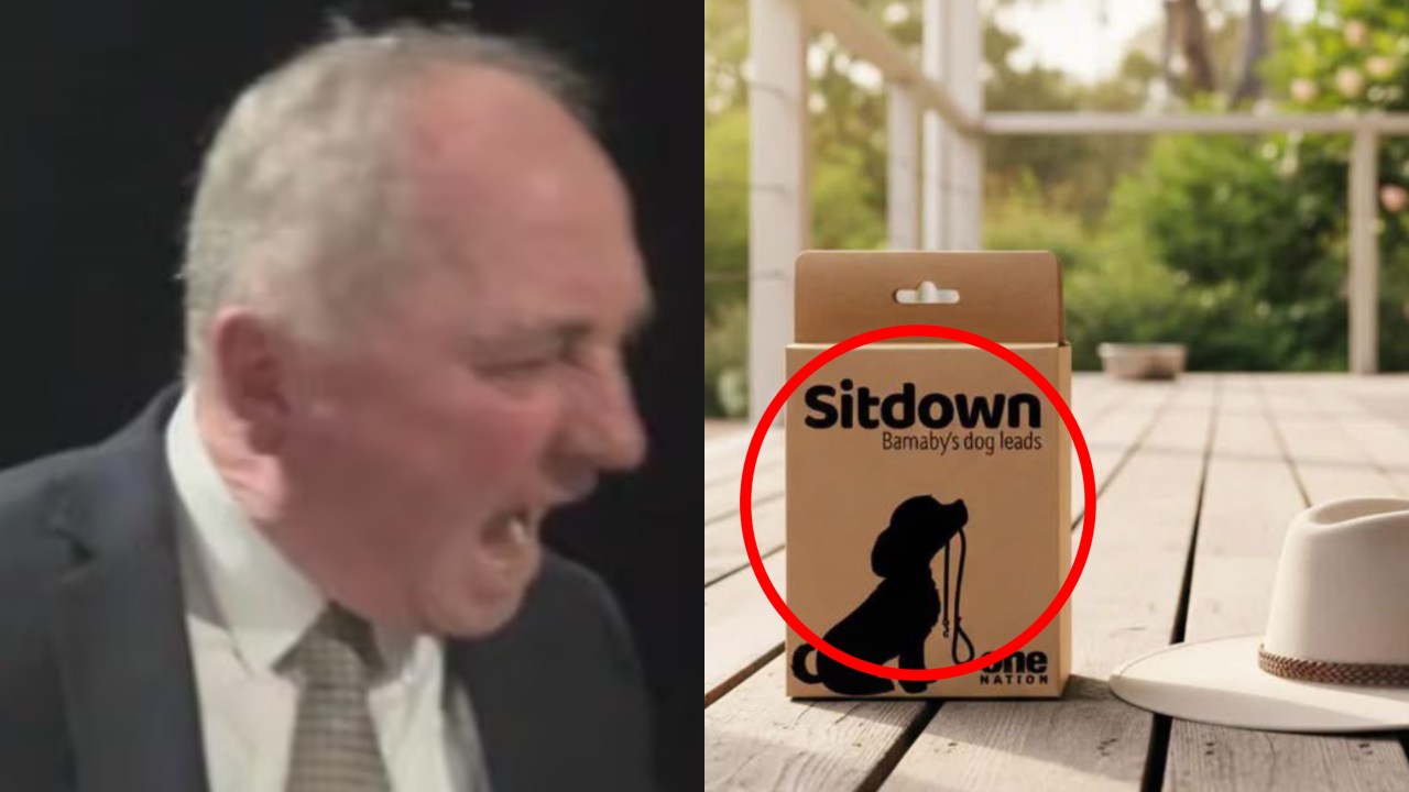 One Nation to sell 'sit down' dog leads after Barnaby Joyce's viral on-air outburst at his dog during heated ABC interview
