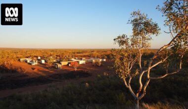 China-linked investors' refusal to divest from WA heavy rare earths company 'extraordinary', expert says