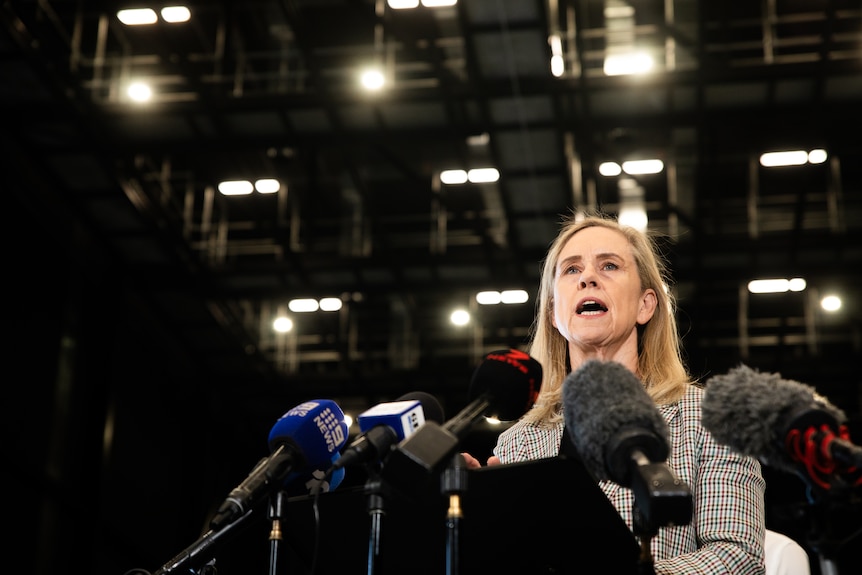 Simone McGurk speaks at a press conference.