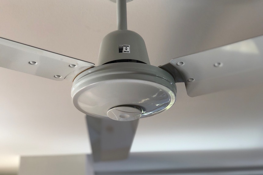 A close-up of a white ceiling fan with a switch on the side of the housing.