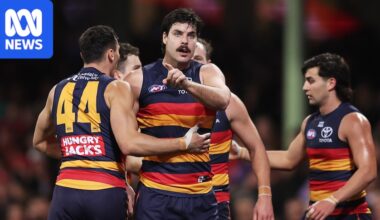Adelaide Crows, Darcy Fogarty at AFL Tribunal to challenge three-match striking ban