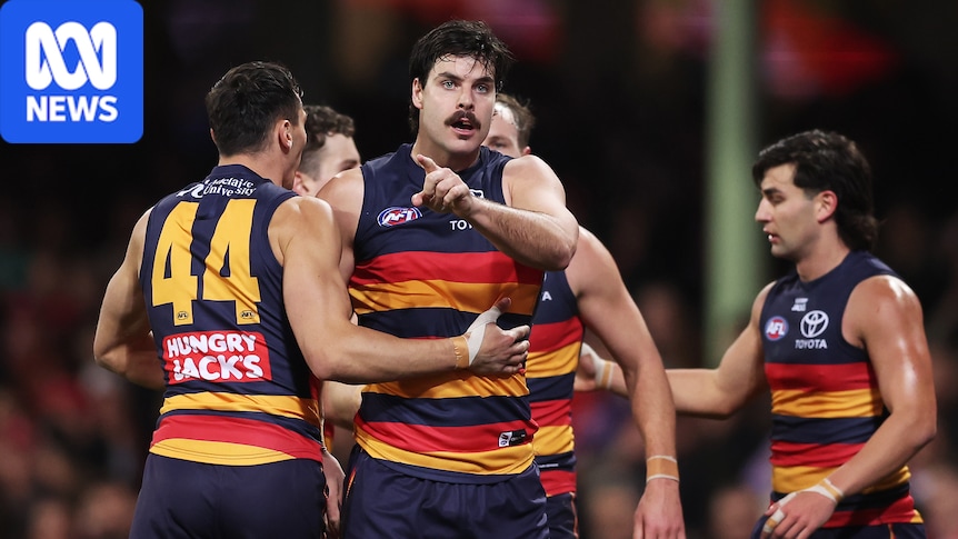 Adelaide Crows, Darcy Fogarty at AFL Tribunal to challenge three-match striking ban