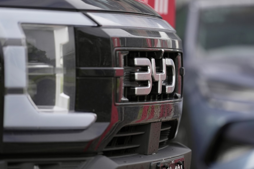 Close up of BYD logo on silver vehicle.
