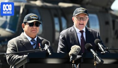 Australia has strengthened ties with Indonesia but our Asia capability is in decline