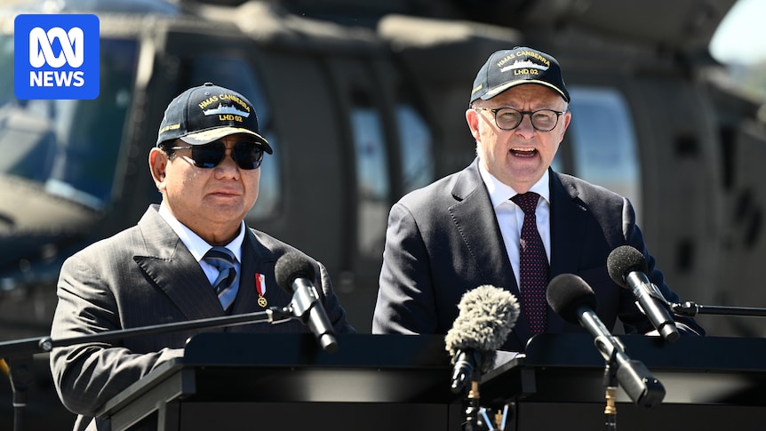 Australia has strengthened ties with Indonesia but our Asia capability is in decline