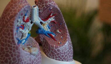 Australia’s lung cancer screening program is a year old. But can the health system deliver?