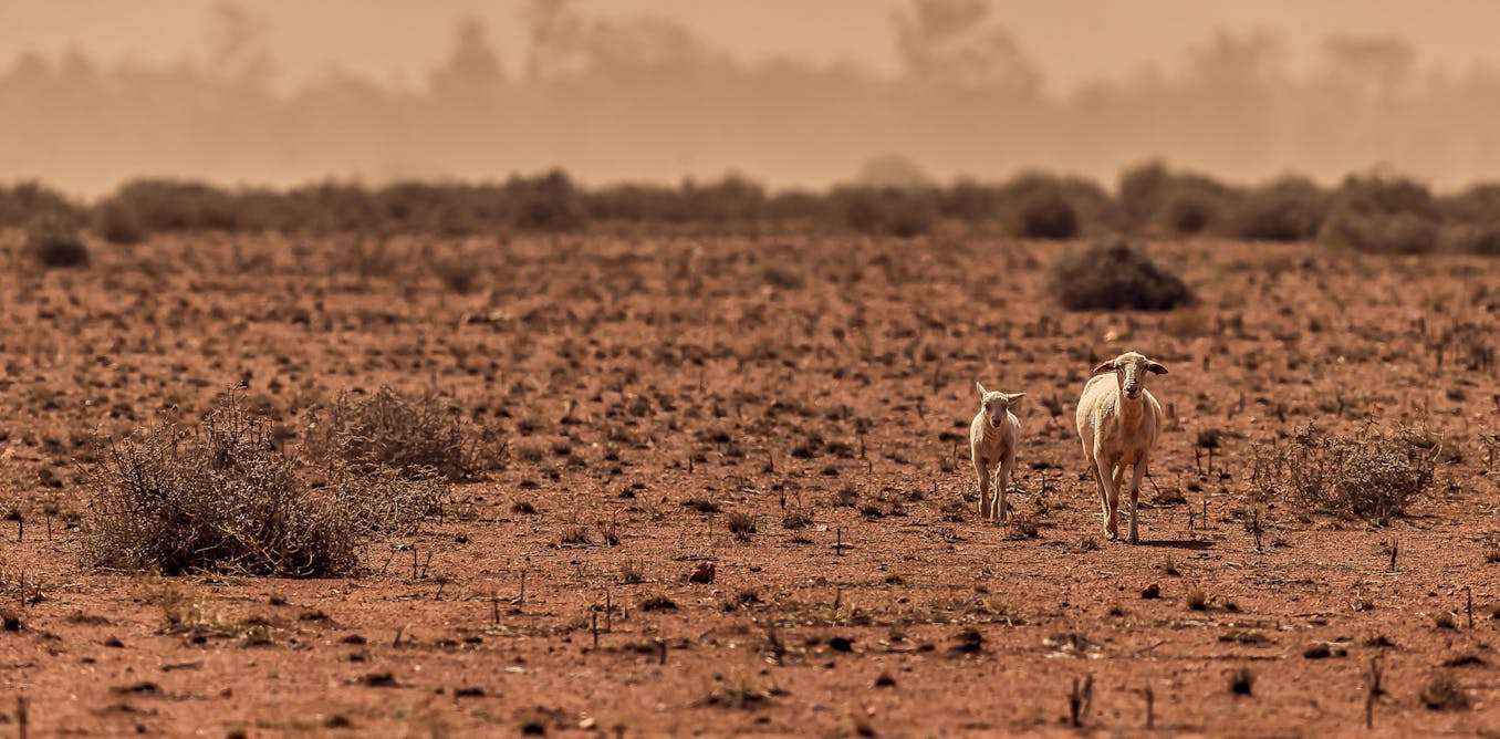 A big El Niño is likely. Australia needs to get ready now for drought, fire and the unknown