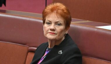 Another poll shows One Nation’s surge has turned around. Has the party peaked?