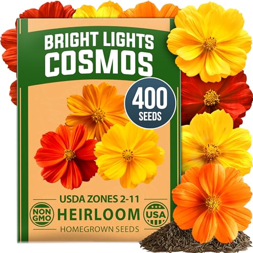 Home Grown Cosmos Bright Lights Mix Seeds &ndash; 400 Cosmos Sulphureus for Planting Spring 2026, Refined Wildflower Herb Seed Mix, Easy Grow Outdoor Flower Seeds for Gardens