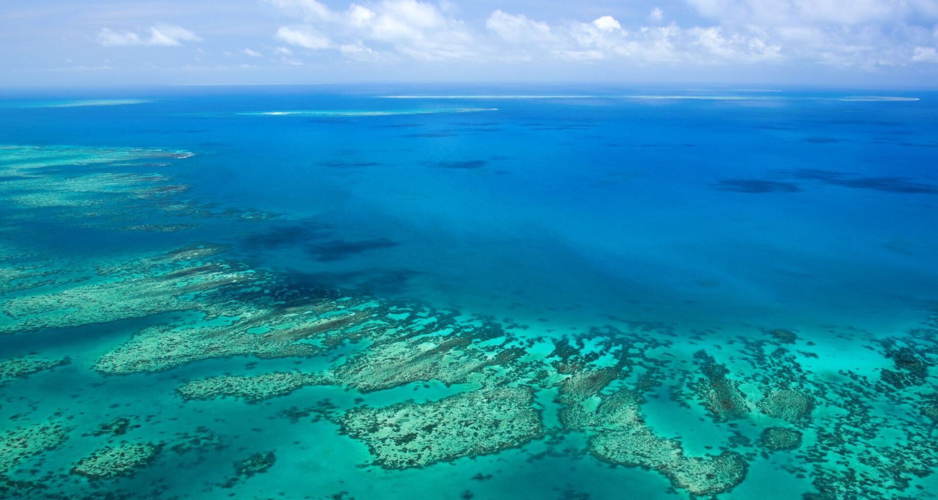 The Great Barrier Reef.