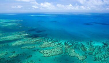 The Great Barrier Reef.