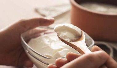 Greek yogurt: Health benefits, protein content, and how to choose the best option