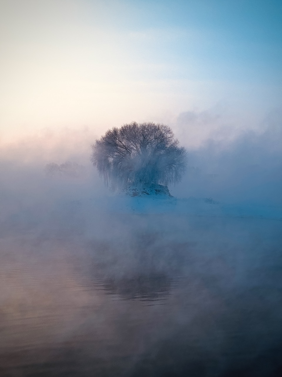 Photograph of a tree beyond a lake shrouded in early morning mist