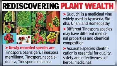 Bhandara surveys unearth 4 new medicinal herb species