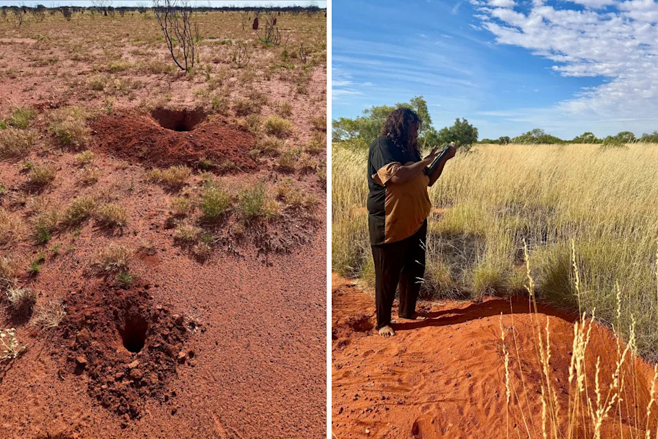 Left: A bilby burrow at Kiwirrkurra. Right: A Kiwirrkurra ranger holding a bilby scat.