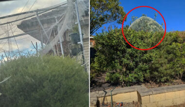 Call for council crackdown as Aussies ignore $395 fine for common backyard item: 'Real shame'