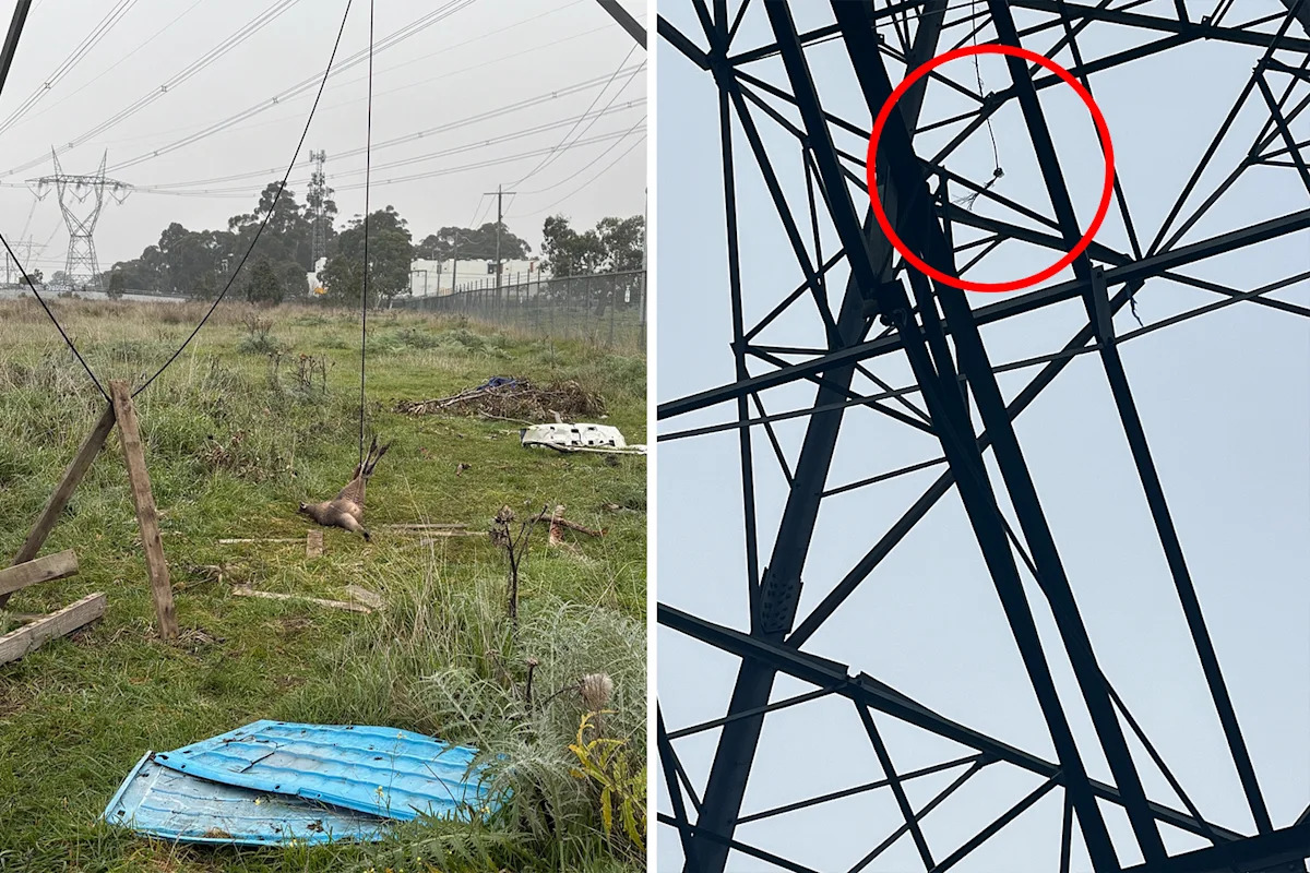 Aussie suburb in shock after 'evil' trap found hanging from electricity tower