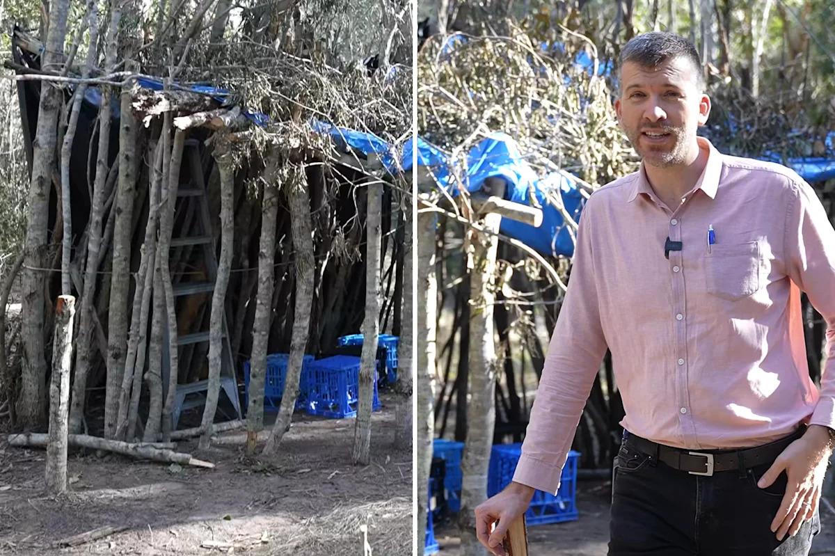 Illegal find in bush causes $70,000 in damage: 'Do the right thing'