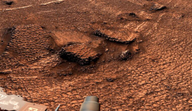 NASA Mars Rover Discovers Field of Mesmerizing Polygons
