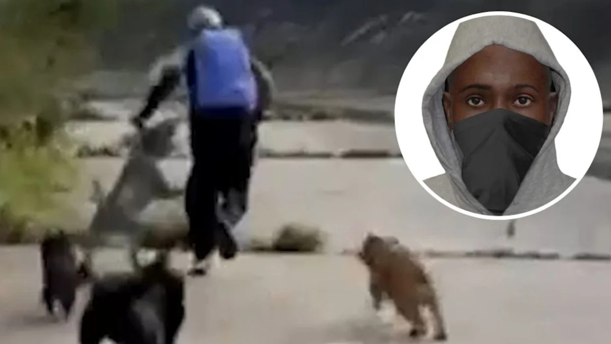 Hero dogs rescue women from sex attack
