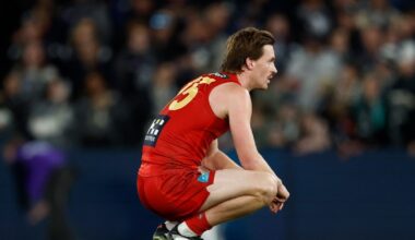 Damien Hardwick backs Gold Coast Suns to rise from 'darkest times', Josh Fraser ready to consider next move in Carlton Blues' coaching race