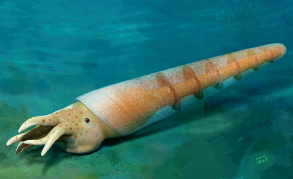 Life reconstruction of Eoceras shaanxiense. Image credit: Dinghua Yang.