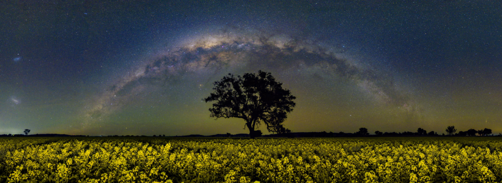 Photo editor’s pick, nightscapes category: 4 Galaxies Panorama, Peter Abery,  David Malin Awards 2025 