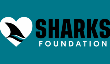 Sharks Foundation expands Board of Directors with addition of Elizabeth Arnsdorf Patterson and Eugene “Geno” Ashley