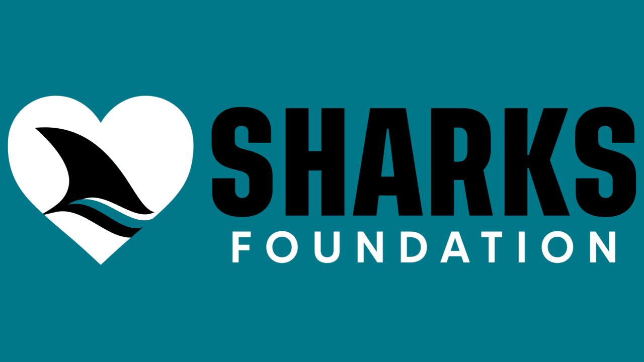 Sharks Foundation expands Board of Directors with addition of Elizabeth Arnsdorf Patterson and Eugene “Geno” Ashley
