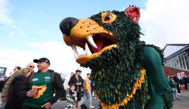 Tassie tunes up for major decision as panel named to select Devils' theme song