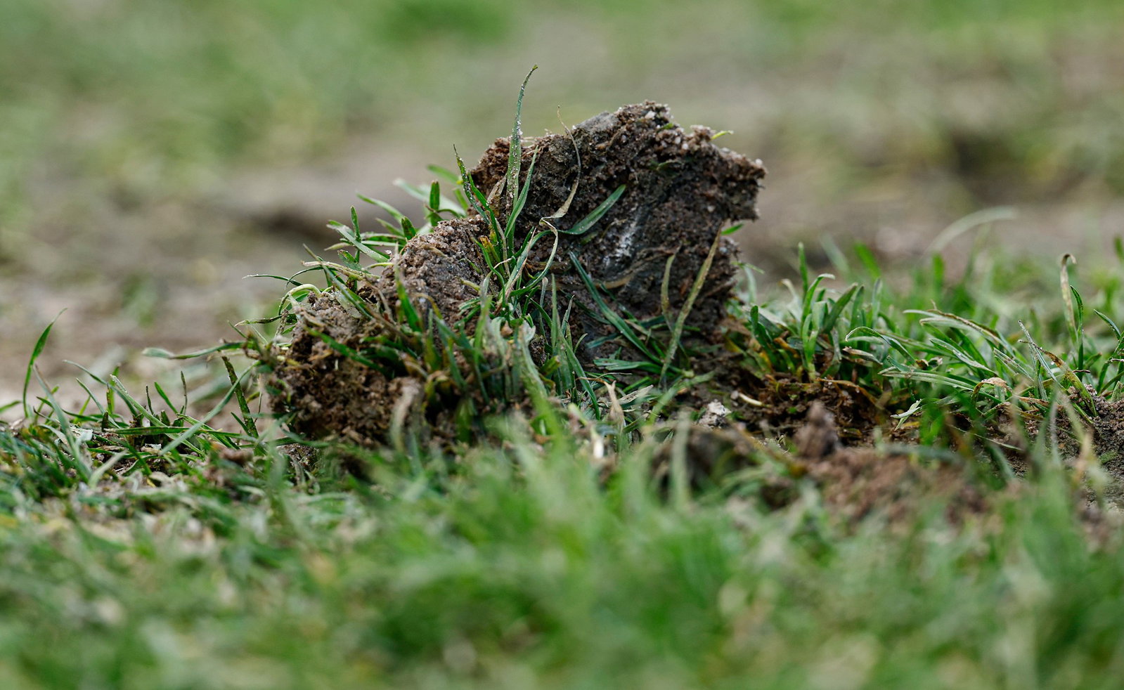 A muddy divot is seen during the 2026 AFL Round 17 match between the Hawthorn Hawks and the Melbourne Demons at UTAS Stadium on July 4, 2026 in Launceston, Australia.