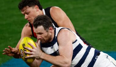 MATCH REVIEW: Two Cats slapped with fines for rough conduct